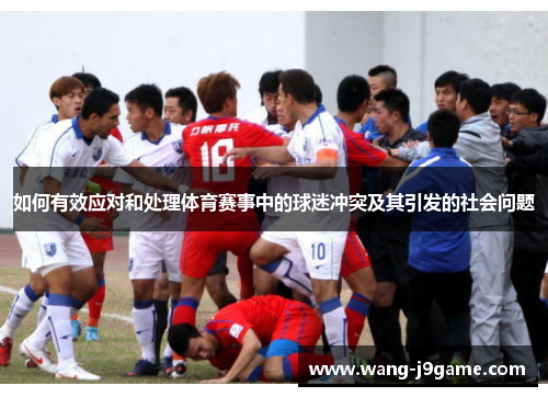 如何有效应对和处理体育赛事中的球迷冲突及其引发的社会问题