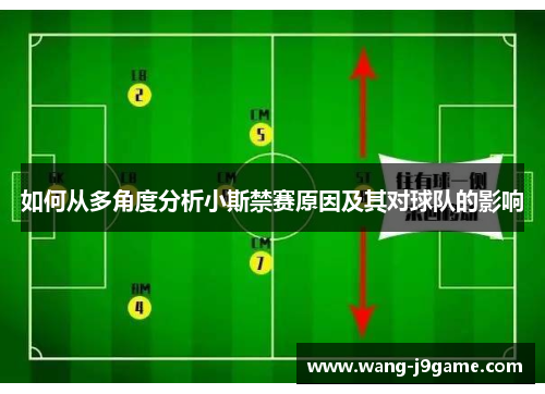 如何从多角度分析小斯禁赛原因及其对球队的影响