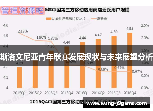斯洛文尼亚青年联赛发展现状与未来展望分析