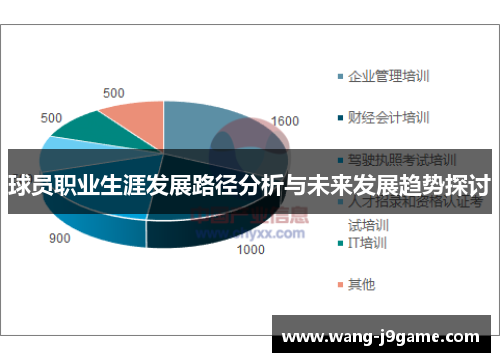 球员职业生涯发展路径分析与未来发展趋势探讨