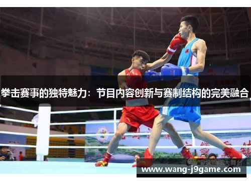 拳击赛事的独特魅力：节目内容创新与赛制结构的完美融合